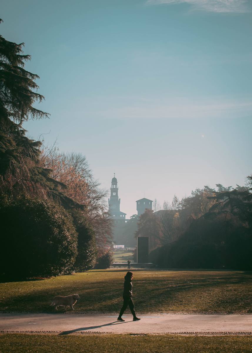Persona caminando por un parque con la ciudad al fondo
