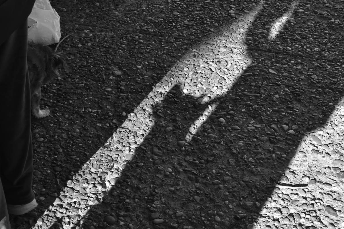 Sombras largas sobre la vereda