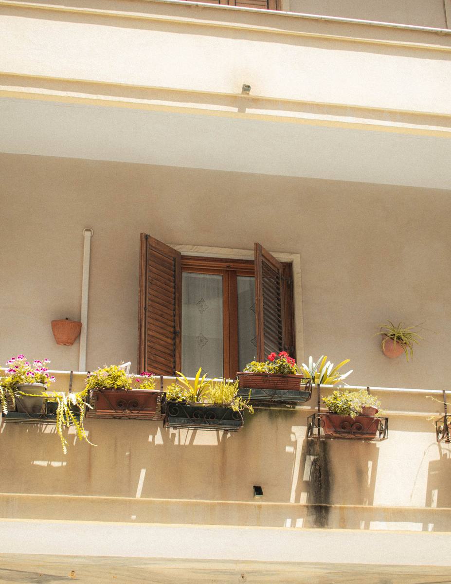 Ventana con macetas y flores al sol